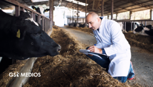 Gusano barrenador provoca pérdidas millonarias en exportación ganadera