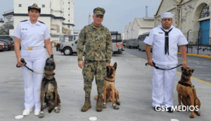 Semar retira con honores a binomios caninos en Veracruz