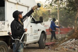 Tlaquepaque implementa operativo de poda y retiro de árboles