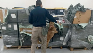 Aseguran cargamentos de cigarros irregulares en el AICM por 9.5 millones de pesos