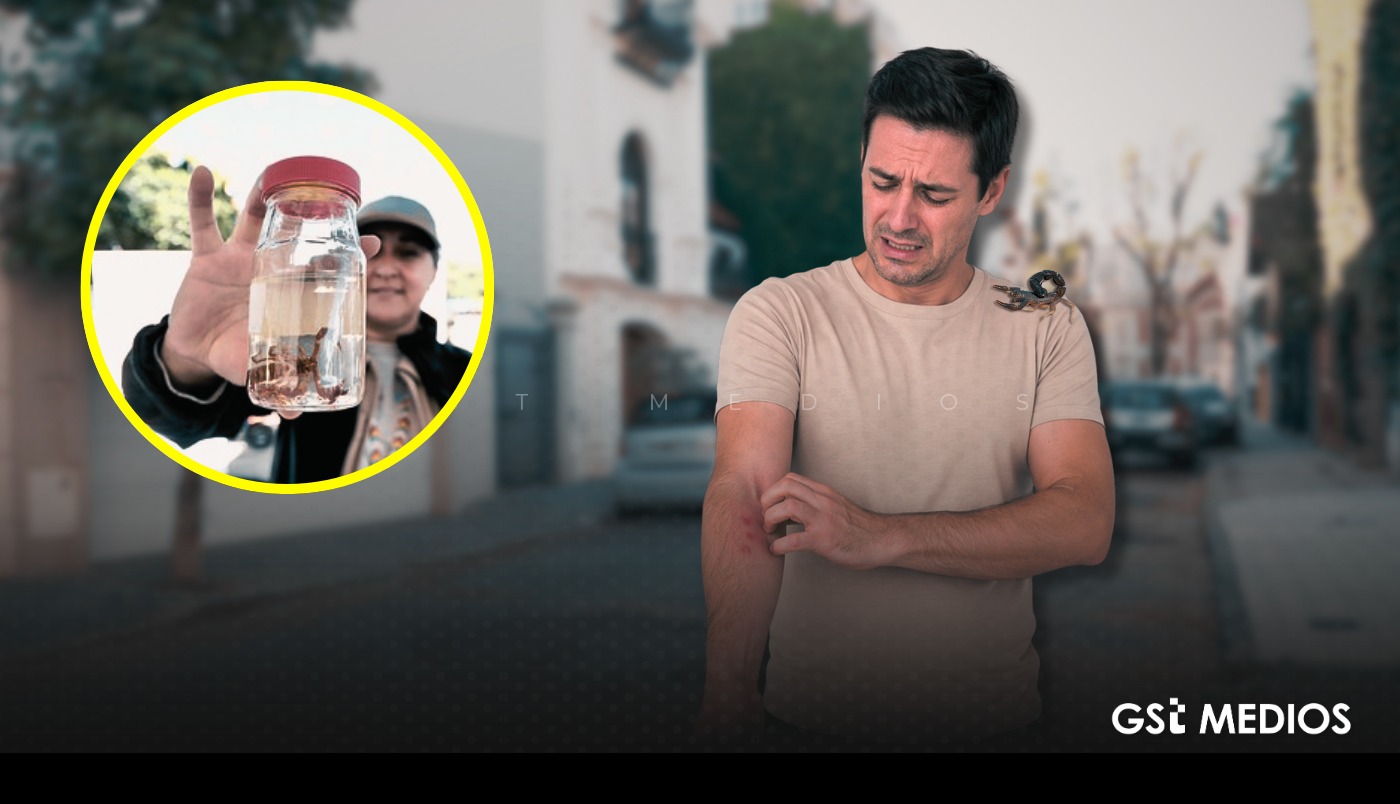 Calor provoca incremento de picaduras de alacrán