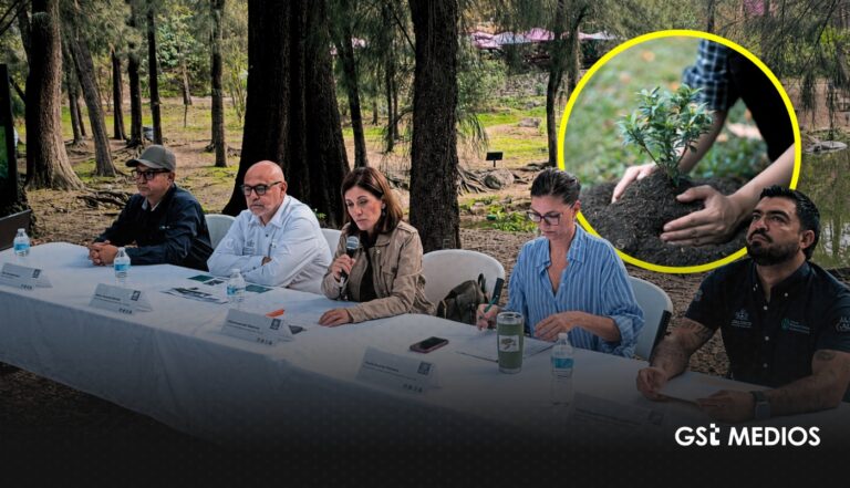 Gobierno de Jalisco lanza Campaña Estatal de Reforestación 2026 con metas históricas