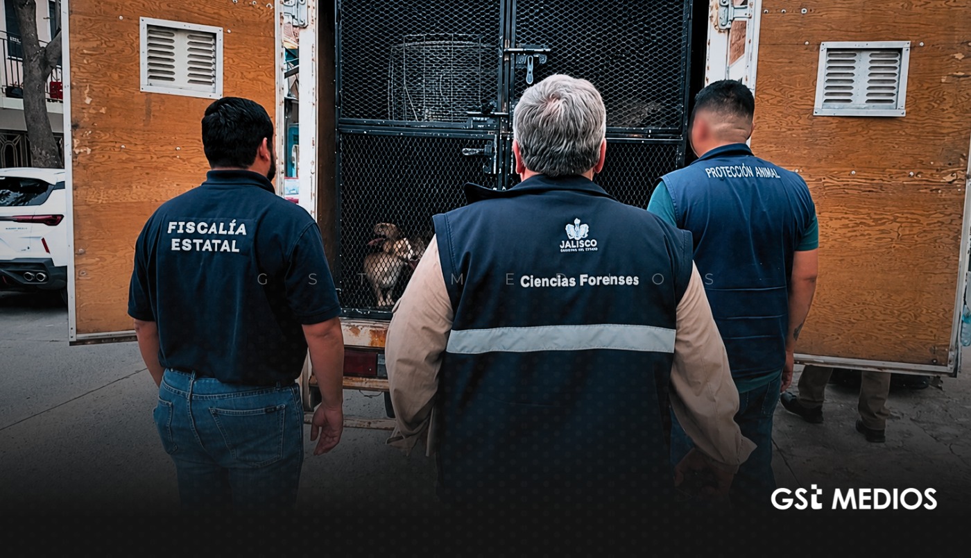Abuelita y sus 39 perros en condiciones de vulnerabilidad son rescatados