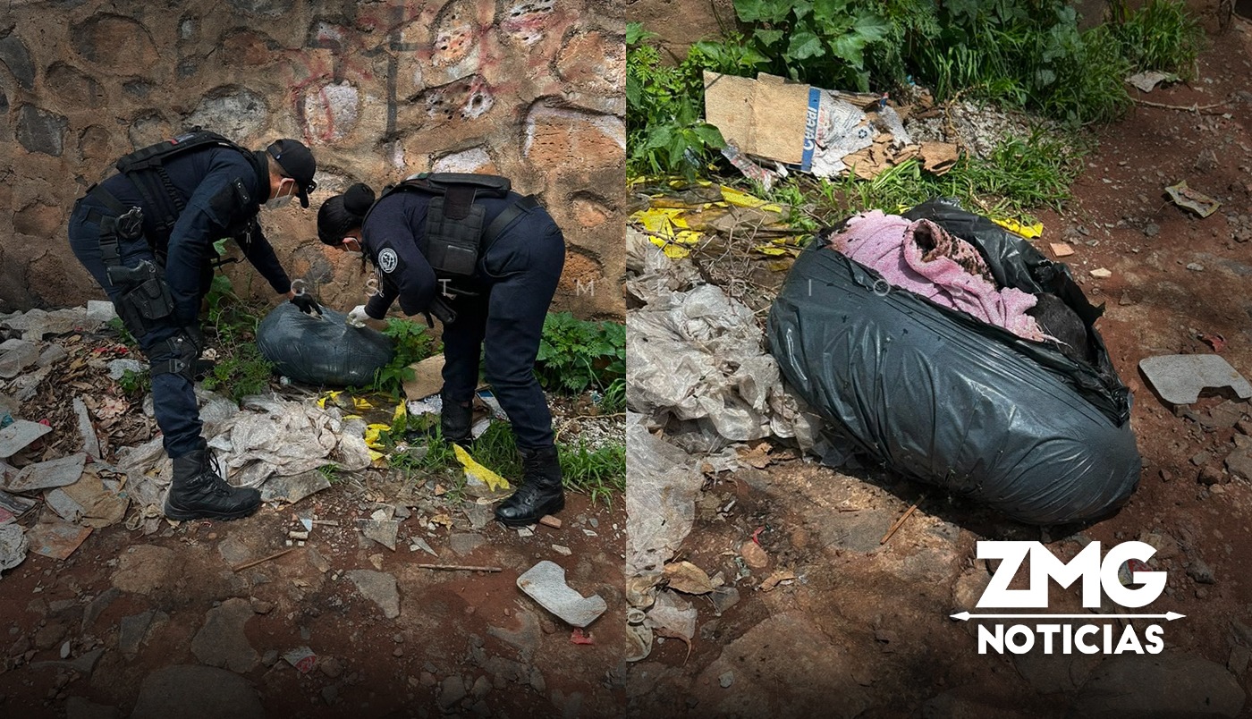 Macabro hallazgo localizan cadáveres de 25 perros y gatos