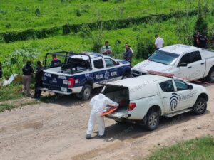 Localizan un cuerpo entre la maleza en una brecha de Ixtapa, en Puerto Vallarta