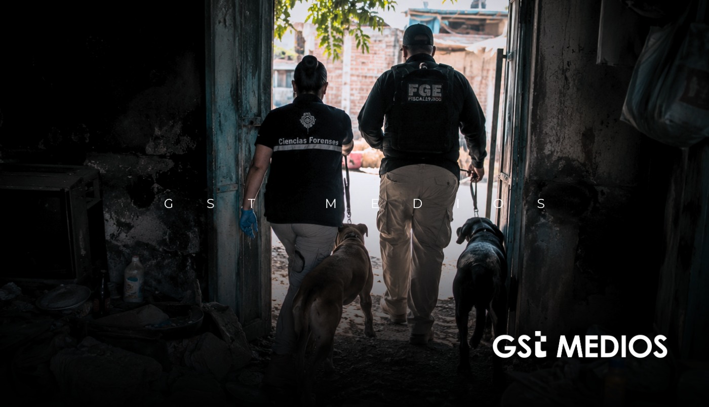Fiscalía rescata a dos perritos tras denuncias de crueldad animal