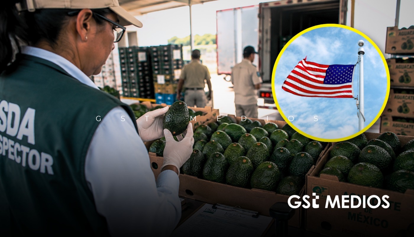 Michoacán recupera inspecciones de aguacate de EU, pero la alerta sigue