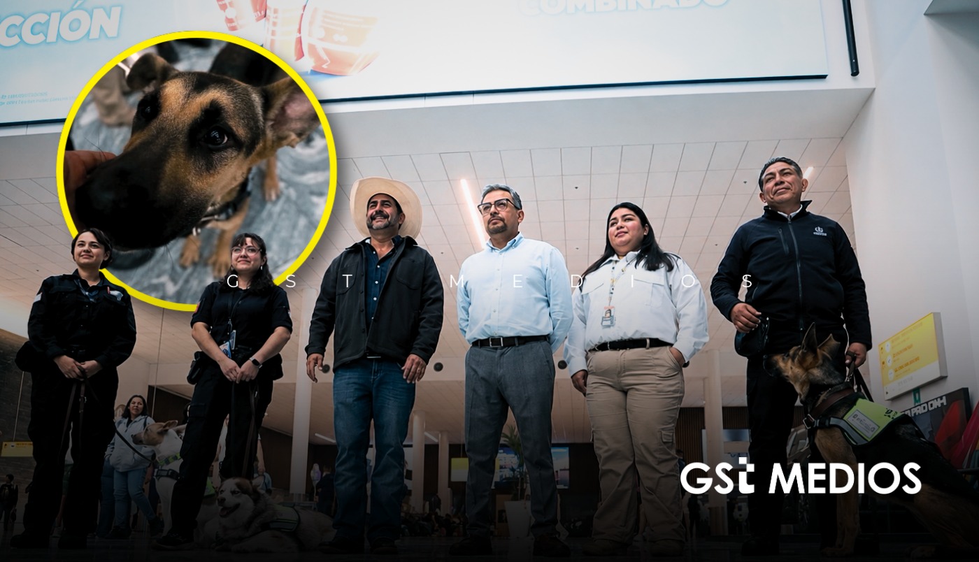 Jalisco refuerza vigilancia sanitaria en aeropuertos con binomios caninos