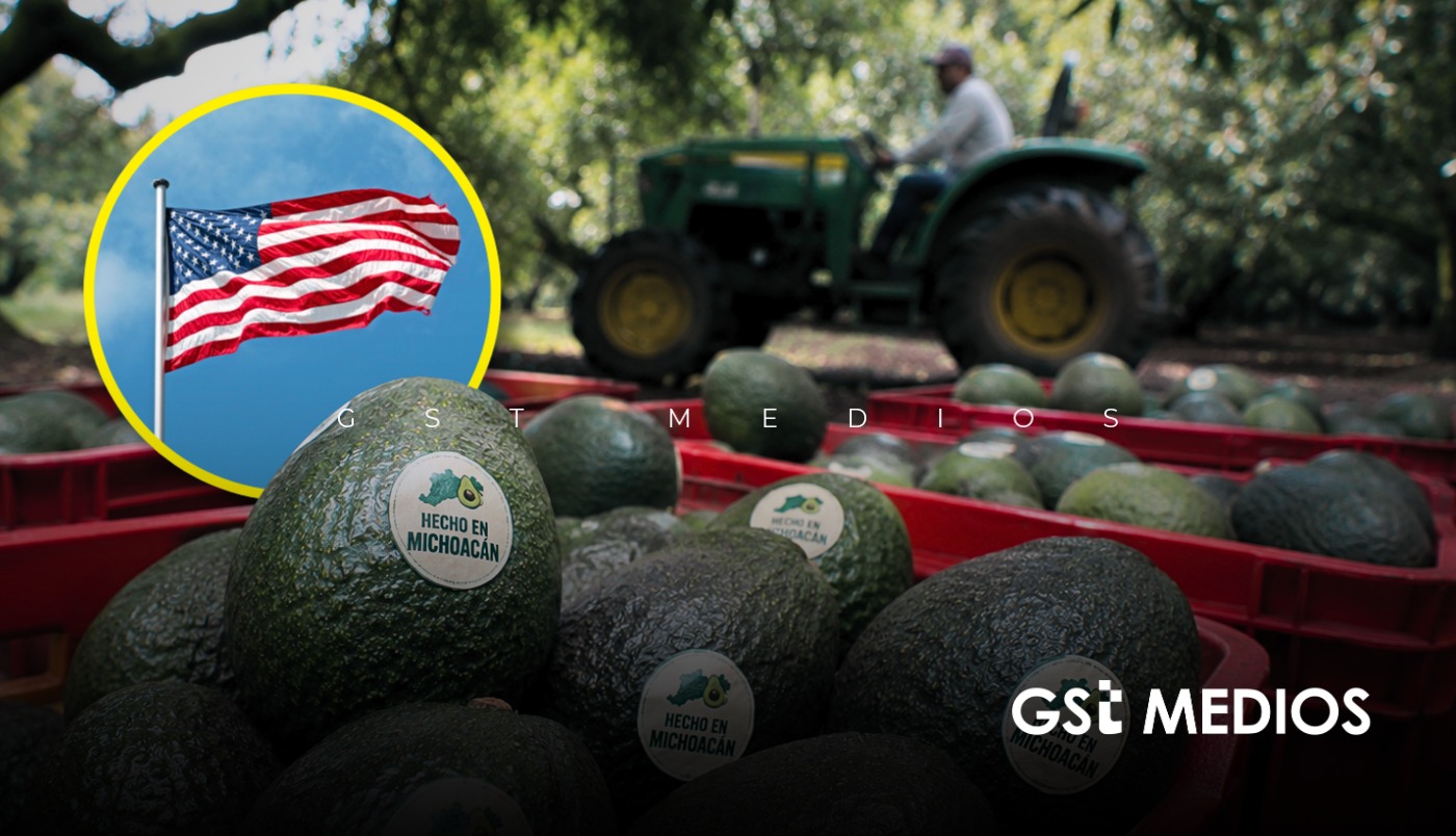 Estados Unidos suspende exportación de aguacate de Michoacán