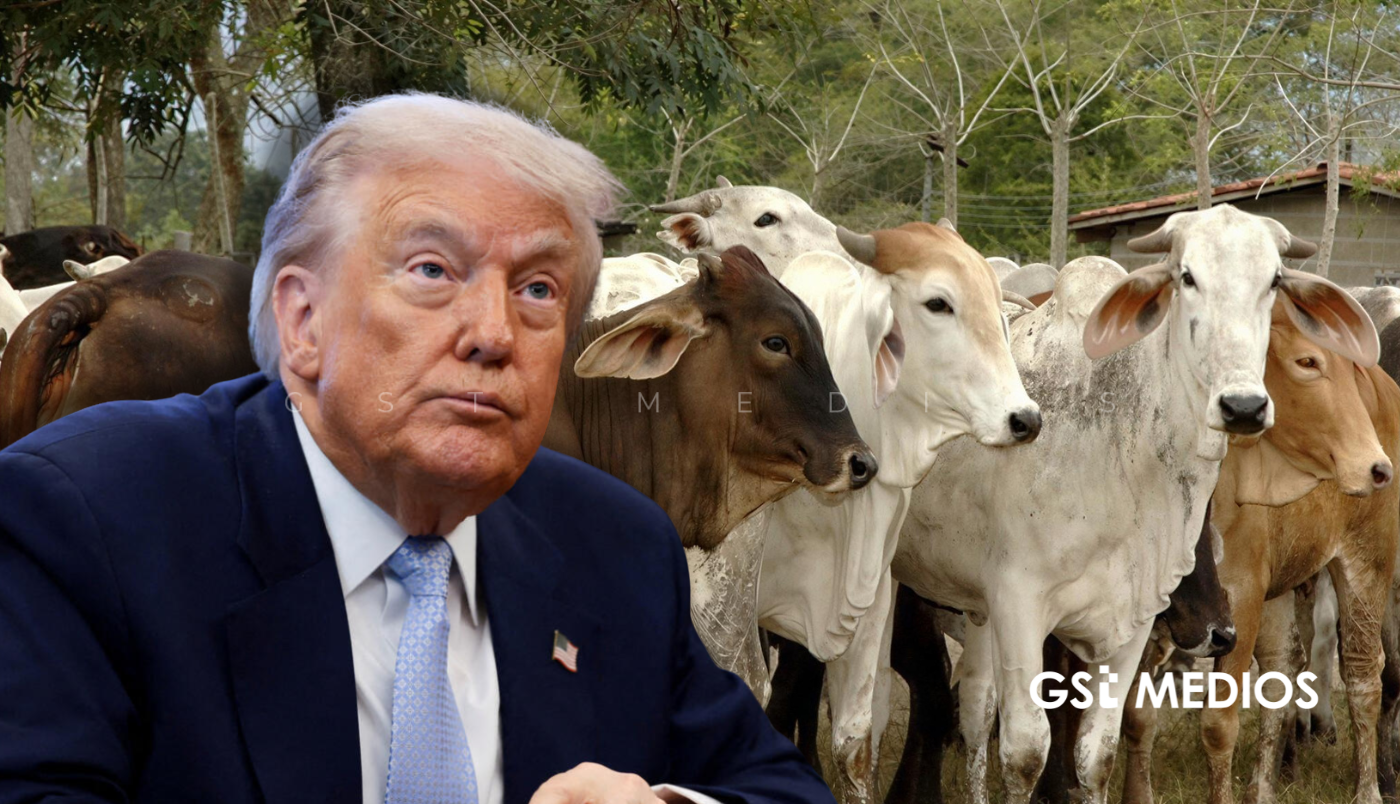 Trump abre la puerta a más carne importada para bajar precios en EU