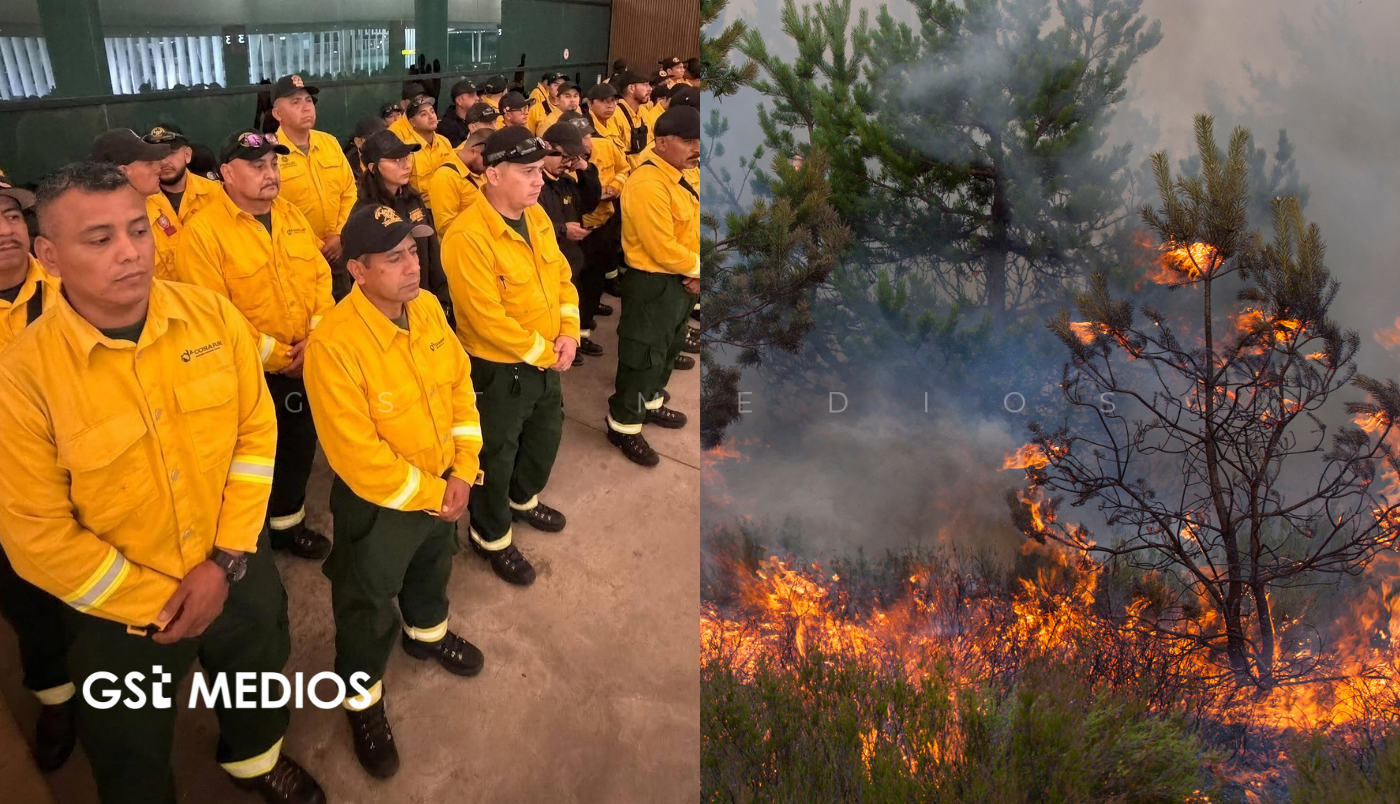 De Jalisco a Canadá: cinco brigadistas llevan su experiencia contra el fuego