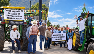 Productores de maíz alistan manifestación en accesos a Guadalajara