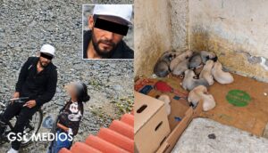 Buscan a sujeto que mató a puñaladas a una perrita en Tlaquepaque