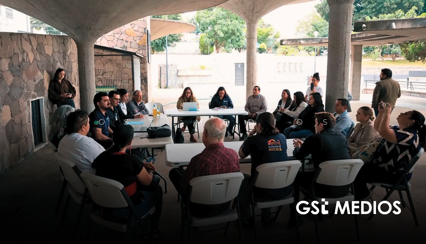 Comité de Cuidado Animal propone medidas ante presunto envenenamiento de gatos en Parque Alcalde
